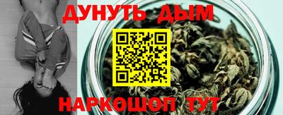 молекула духа Будённовск