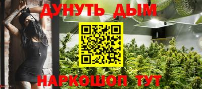 молекула духа Будённовск
