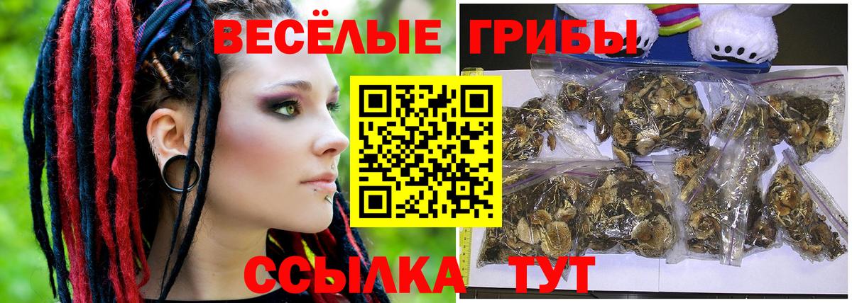 Галлюциногенные грибы MAGIC MUSHROOMS  Вход с VPN  Находка  Галлюциногенные грибы MAGIC MUSHROOMS 